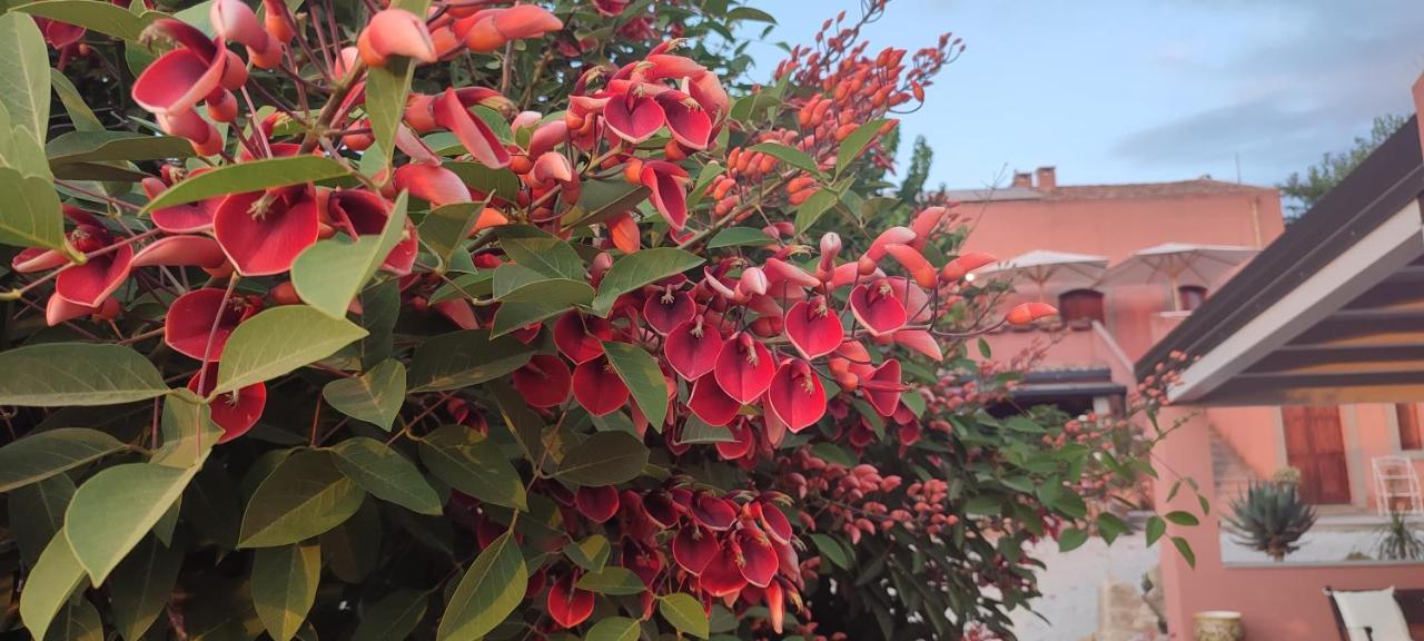 Bioagriturismo Antica Sena Milici エクステリア 写真