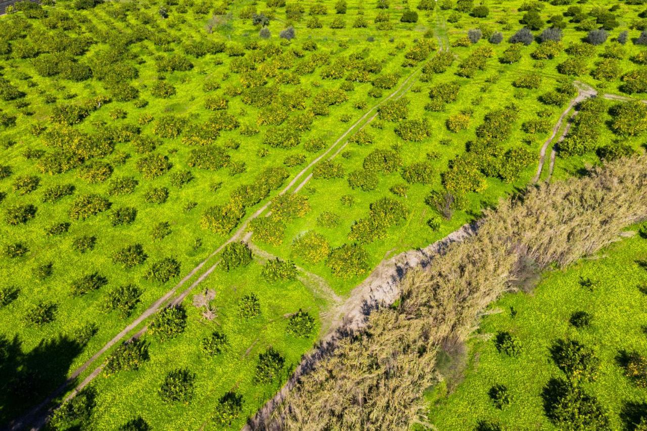 Bioagriturismo Antica Sena Milici エクステリア 写真
