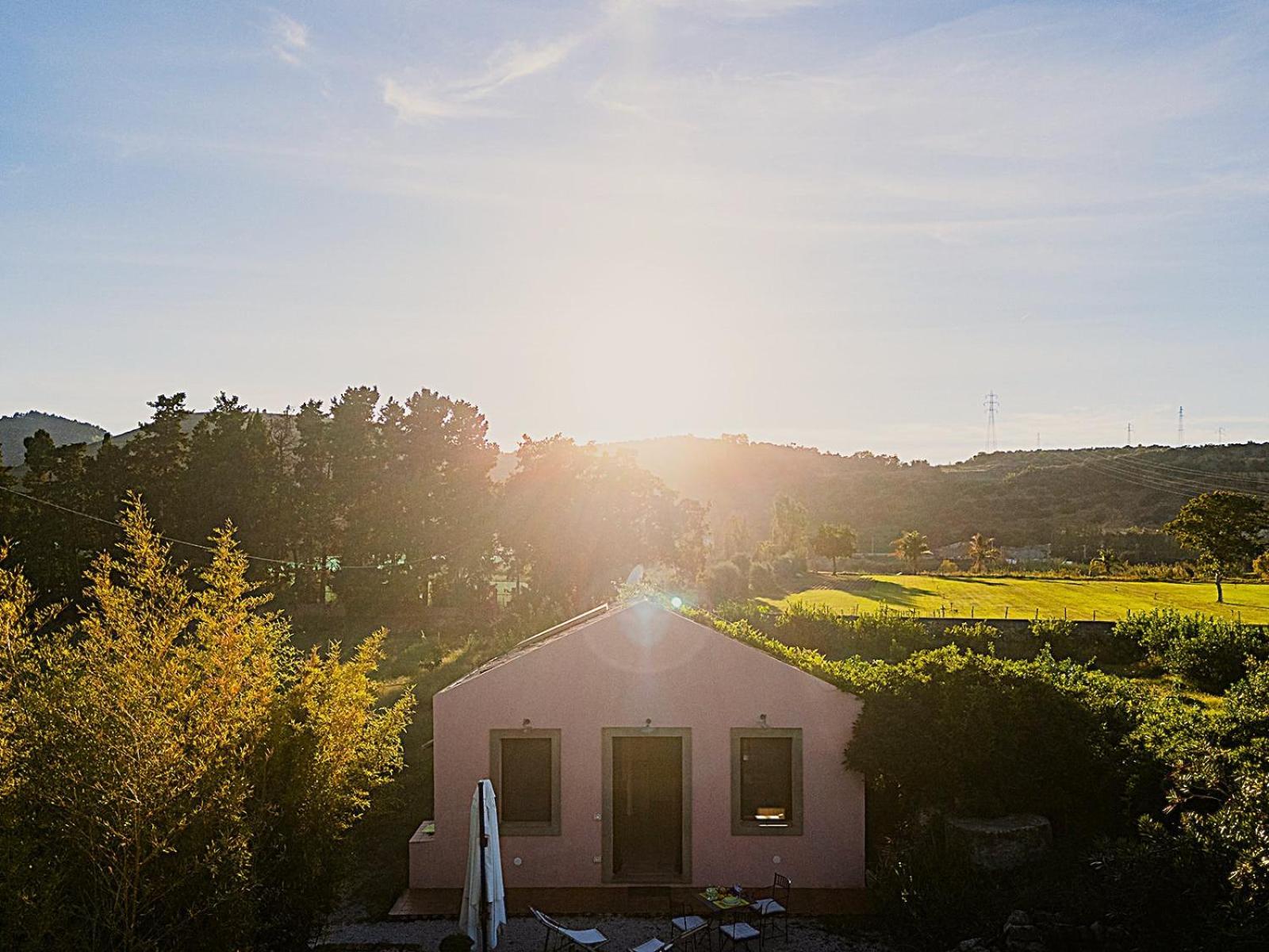 Bioagriturismo Antica Sena Milici エクステリア 写真