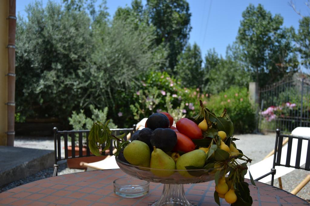 Bioagriturismo Antica Sena Milici エクステリア 写真